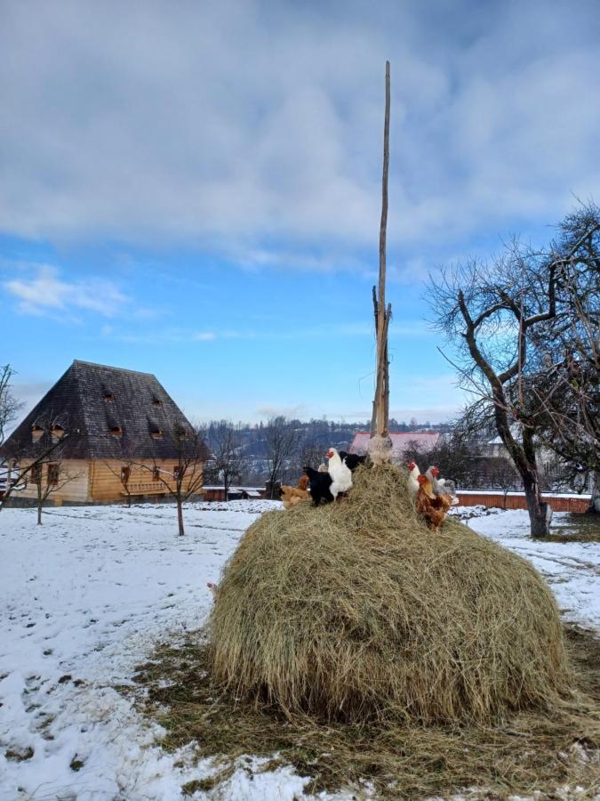 Pensiunea Agroturistica Casa Pribegilor Breb Extérieur photo