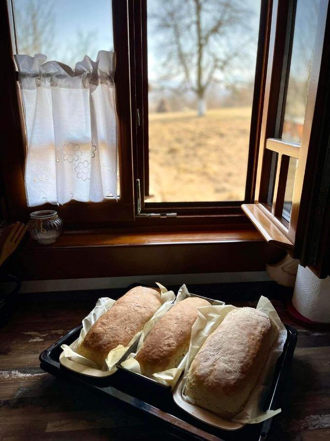 Pensiunea Agroturistica Casa Pribegilor Breb Extérieur photo
